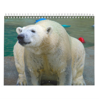 Calendario Animales del parque zoológico de Brookfield
