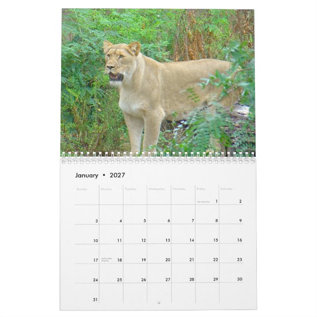 Calendario Animales del parque zoológico de Brookfield (Jan 2027)