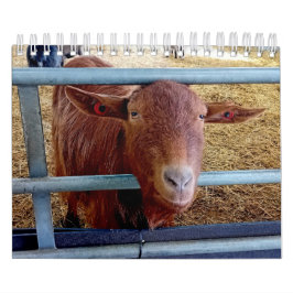 Calendario Animales e insectos , del campo inglés