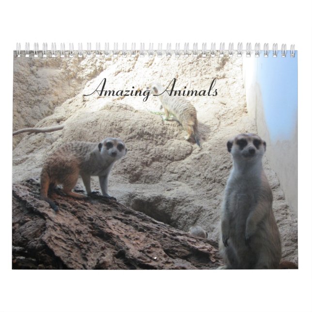 Calendario Animales Increíbles (Tapa)