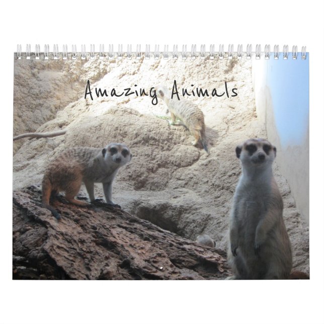 Calendario Animales Increíbles (Tapa)