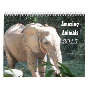 Calendario Animales Increíbles 2015