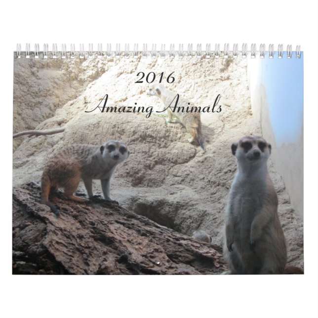 Calendario Animales inteligentes (Tapa)