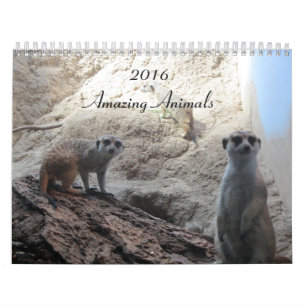 Calendario Animales inteligentes