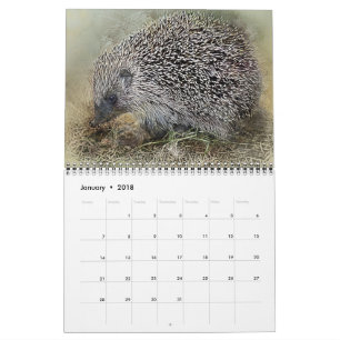 Calendario Animales Mascotas Vida Silvestre Amor Destino El D
