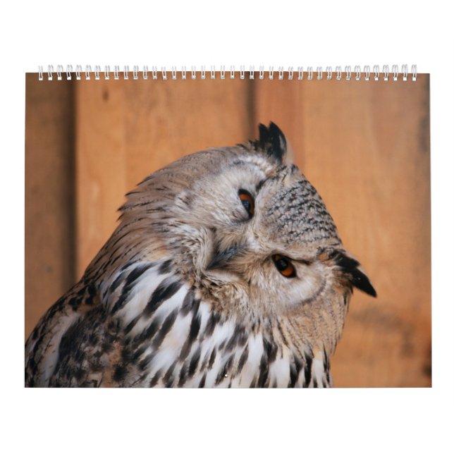 Calendario Animales Mirándote (Tapa)