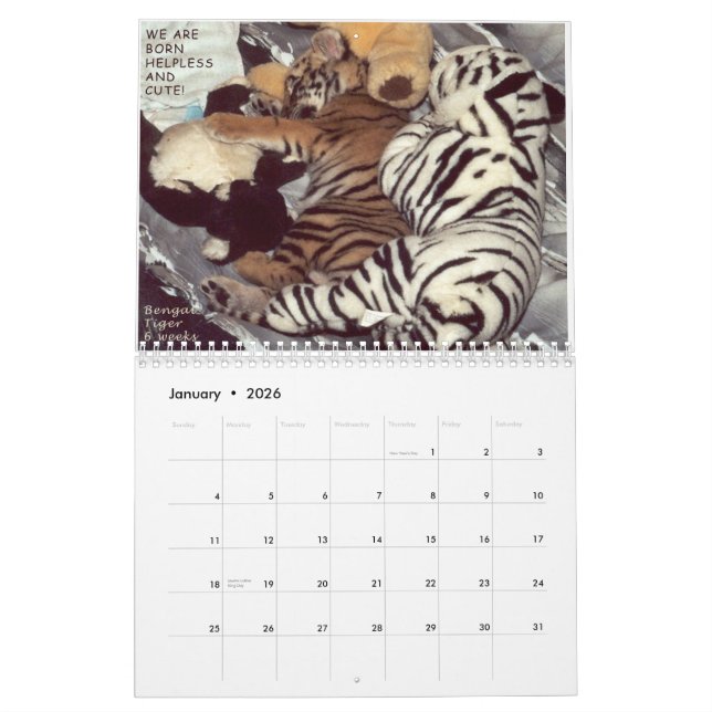 Calendario Animales rescatados - no somos mascotas (Jan 2026)