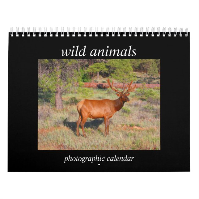 Calendario animales salvajes 2026 (Tapa)