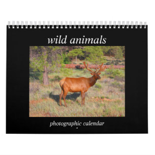 Calendario animales salvajes 2026