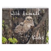 Animales Salvajes Para Niños