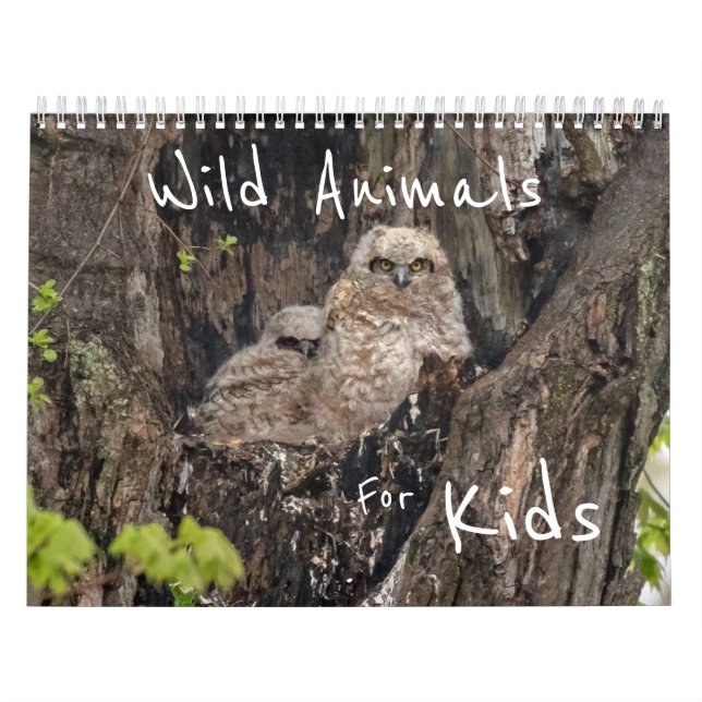 Calendario Animales Salvajes Para Niños (Tapa)