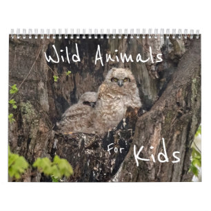 Calendario Animales Silvestres Para Niños