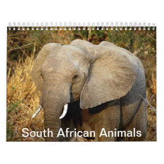 Calendario Animales surafricanos
