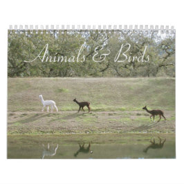 Calendario - Animales y Aves