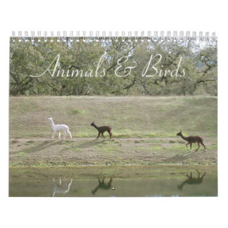 Calendario - Animales y Aves