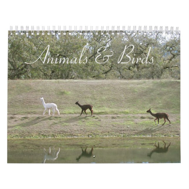 Calendario - Animales y Aves (Tapa)