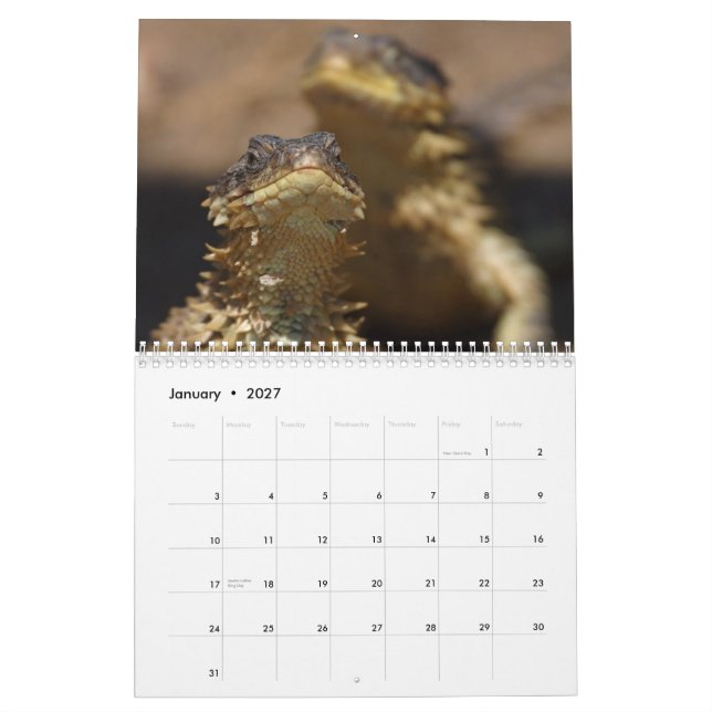 Calendario Animales y naturaleza (Jan 2027)