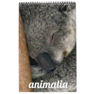 Calendario animalia