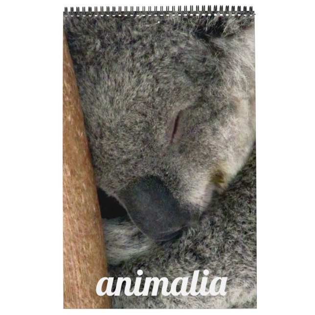 Calendario animalia (Tapa)
