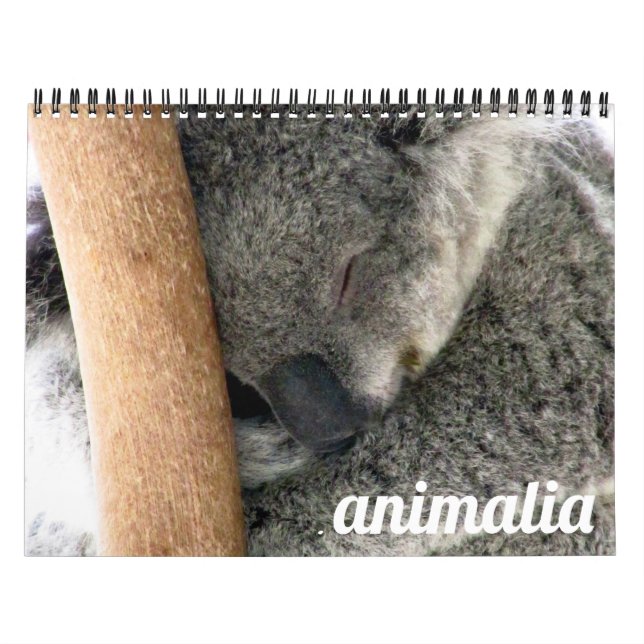 Calendario animalia 2027 (Tapa)