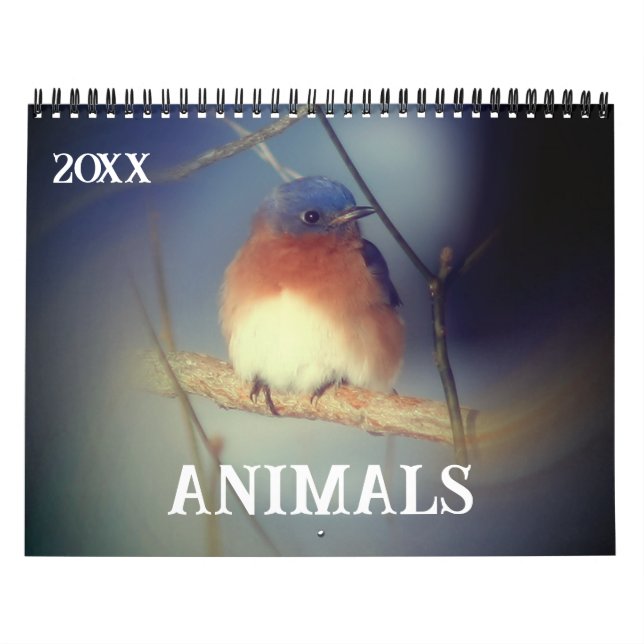 Calendario Animals (Tapa)