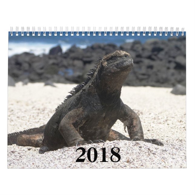 Calendario animals and birds of Galapagos (Tapa)