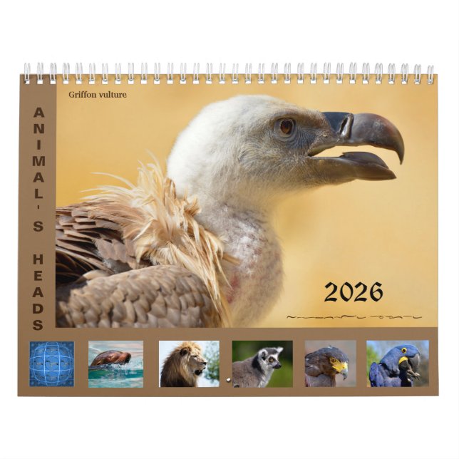 Calendario Animal's heads 12 month calendar (Tapa)