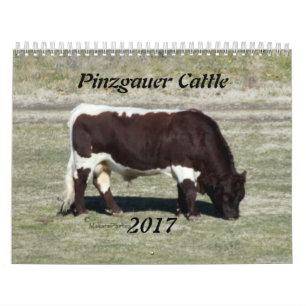 Calendario Año 2017 del Calendario-cambio de Pinzgauer según