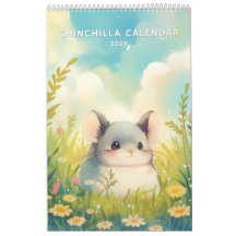 Año 2025 de Chinchillin