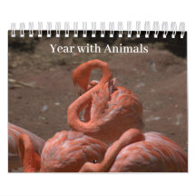 Año con los animales