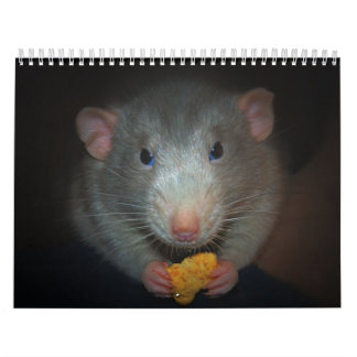 Calendario Año de la rata Calander