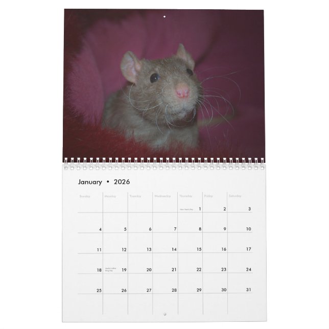 Calendario Año de la rata Calander (Jan 2026)