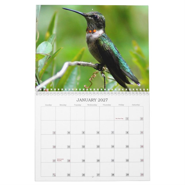 Calendario Año de los colibríes 'redondo (Jan 2027)