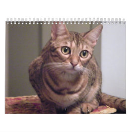 Calendario Año del gato de Bengala