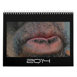 Calendario Año en año hacia fuera