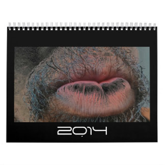 Calendario Año en año hacia fuera