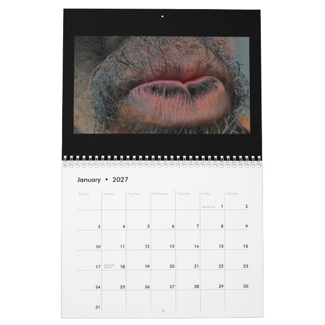 Calendario Año en año hacia fuera (Jan 2027)