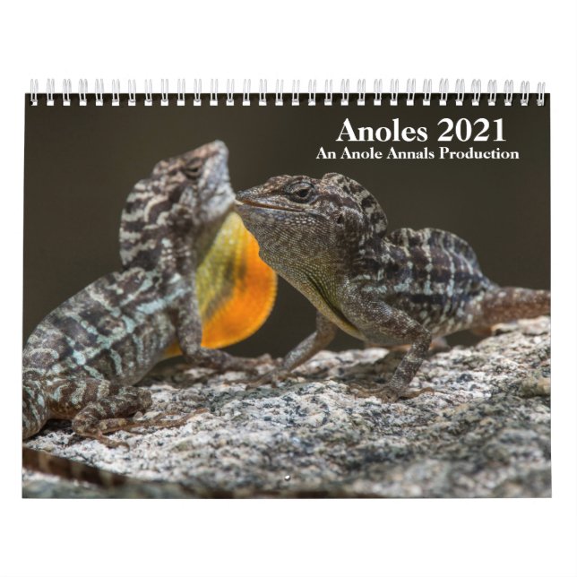 Calendario Anole Annals 2021 (Tapa)
