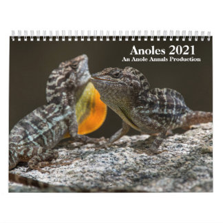 Calendario Anole Annals 2021