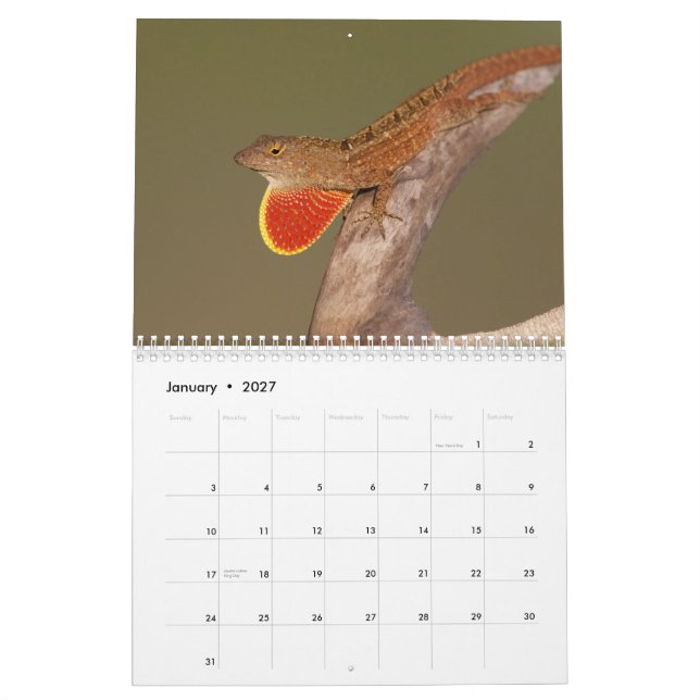 Calendario Anoles 2012 (Jan 2027)
