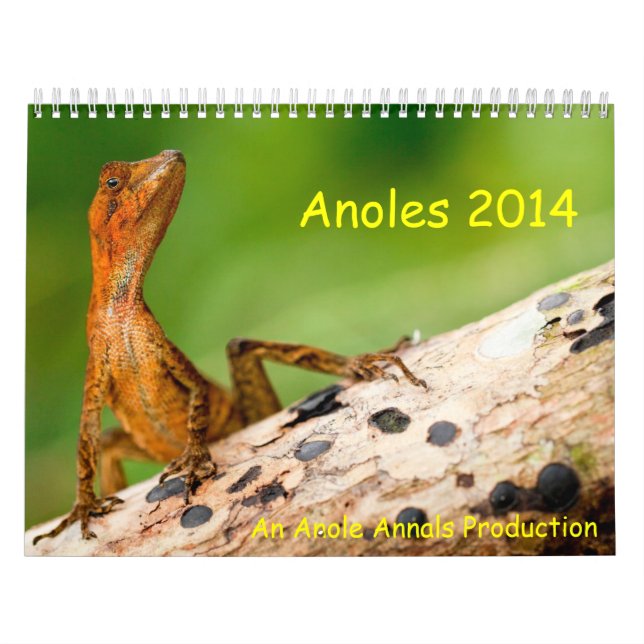 Calendario Anoles 2014 (Tapa)