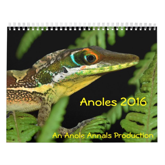 Calendario Anoles 2016 - Una producción de los anales de (Tapa)