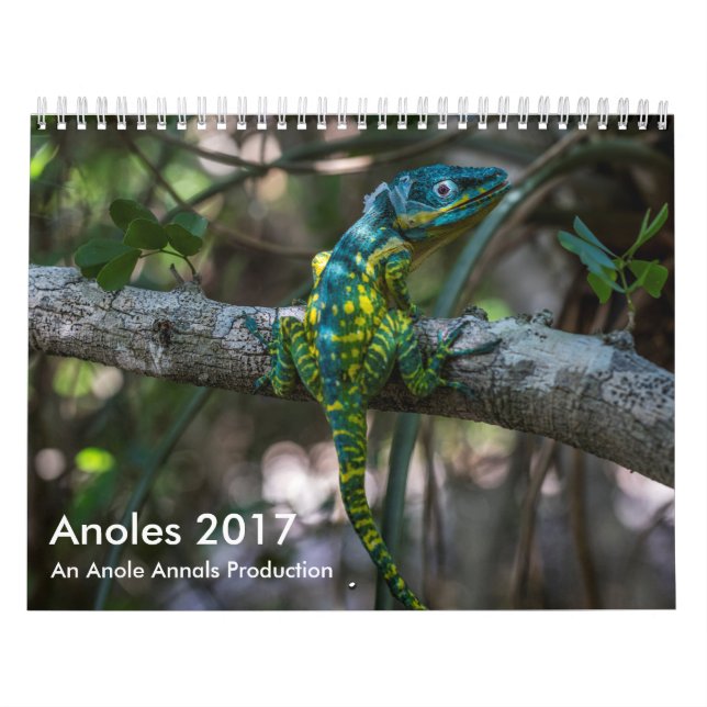 Calendario Anoles 2017 - Una producción de los anales de (Tapa)