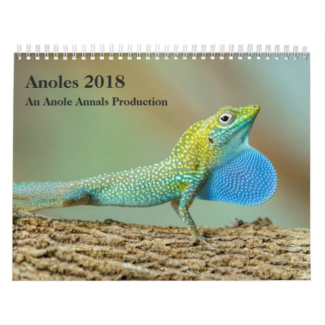 Calendario Anoles 2018 - Una producción de los anales de (Tapa)