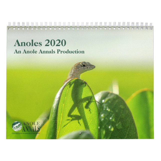 Calendario Anoles 2020 - Una producción de Anole Annals (Tapa)