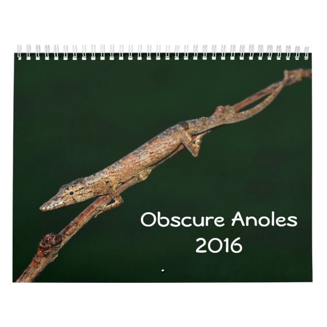 Calendario Anoles indeterminado 2016 - una producción de los (Tapa)