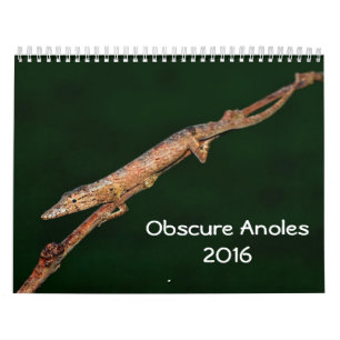Calendario Anoles indeterminado 2016 - una producción de los