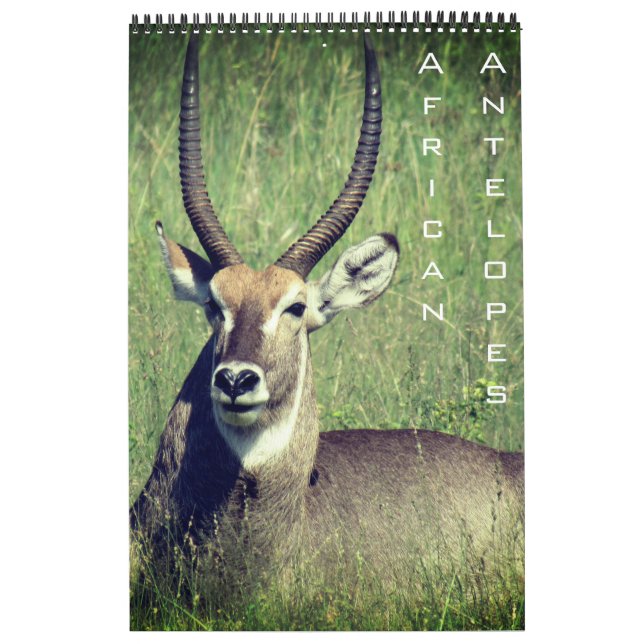 Calendario antelope safari africano 2025 (Tapa)