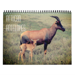Calendario antilopes africanos 2027