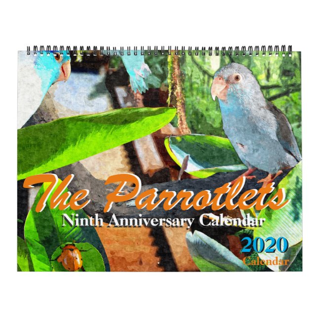Calendario Anual de Fotografía de Parrotlets 2020 (Tapa)
